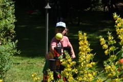Sommerfest  Natur- u. Vogelfreunde Münchholzhausen e. V. 22.06.2025