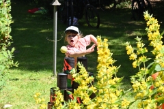 Sommerfest  Natur- u. Vogelfreunde Münchholzhausen e. V. 22.06.2025